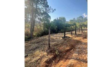 Bonito terreno céntrico en zona de bosque de Mazamitla, Jalisco
