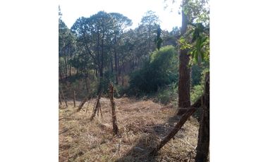 Bonito terreno céntrico en zona de bosque de Mazamitla, Jalisco