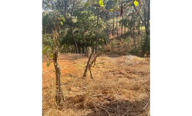 Bonito terreno céntrico en zona de bosque de Mazamitla, Jalisco