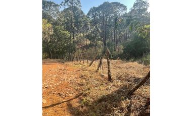 Bonito terreno céntrico en zona de bosque de Mazamitla, Jalisco
