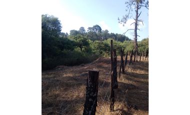 Bonito terreno céntrico en zona de bosque de Mazamitla, Jalisco