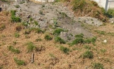 TERRENO VENTA O RENTA