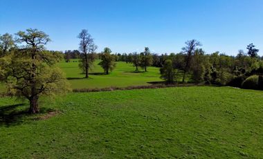 Parcela en venta en OSORNO