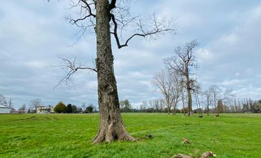 Parcela en venta en OSORNO