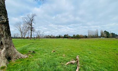 Parcela en venta en OSORNO