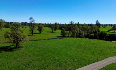 Parcela en venta en OSORNO