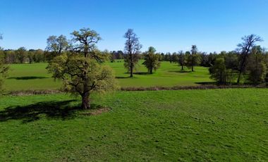 Parcela en venta en OSORNO