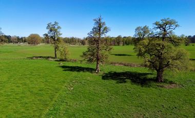 Parcela en venta en OSORNO