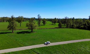 Parcela en venta en OSORNO