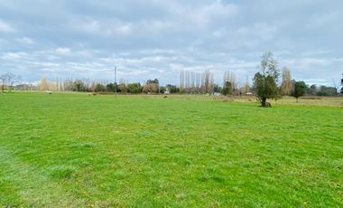 Parcela en venta en OSORNO