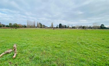 Parcela en venta en OSORNO