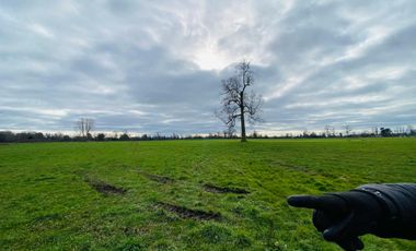 Parcela en venta en OSORNO