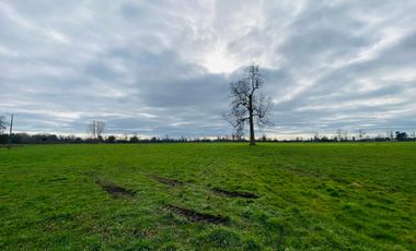 Parcela en venta en OSORNO