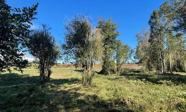 Parcelas En Pid Pid , Castro