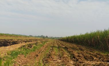 Tanah dijual di Tawangsari, Kepatihan, Jombang, Jawa Timur