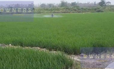 VENTA PROPIEDAD AGRICOLA RICAURTE (VM)
