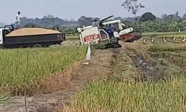 VENTA PROPIEDAD AGRICOLA RICAURTE (VM)