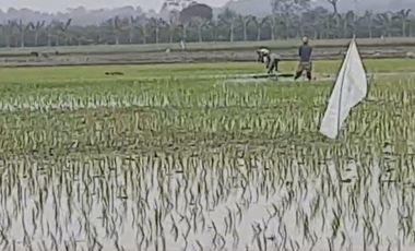 VENTA PROPIEDAD AGRICOLA RICAURTE (VM)