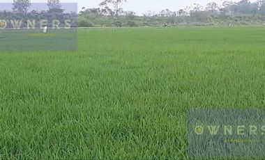 VENTA PROPIEDAD AGRICOLA RICAURTE (VM)