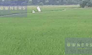 VENTA PROPIEDAD AGRICOLA RICAURTE (VM)