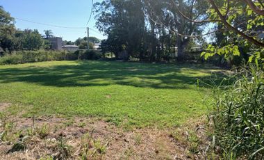 Gran Terreno de 1630 mts2