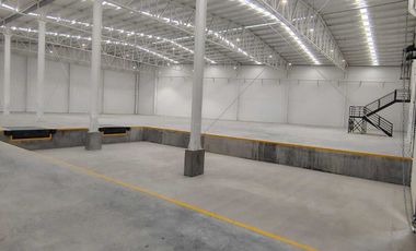 Renta de Nave Industrial,  Salinas Victoria