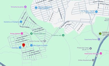 JVV- ADQUIERE TU CASA PROPIA EN LOS RUISEÑORES, TALA, JAL.