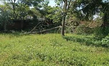 VENTA DE TERRENO EN PUNTA PERULA JALISCO, MÉXICO (COSTA ALEGRE)