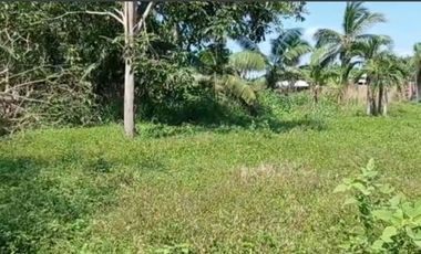 VENTA DE TERRENO EN PUNTA PERULA JALISCO, MÉXICO (COSTA ALEGRE)