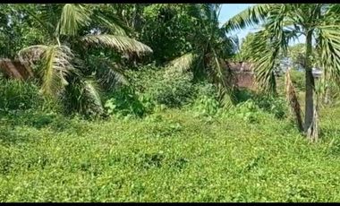 VENTA DE TERRENO EN PUNTA PERULA JALISCO, MÉXICO (COSTA ALEGRE)