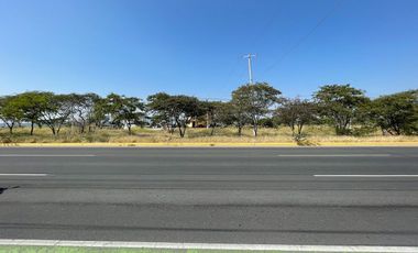 TERRENO COMERCIAL EN RENTA EN LA ZONA DE  PASEO QUERÉTARO