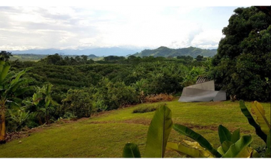 Finca independiente para la venta en Combia, Pereira!!