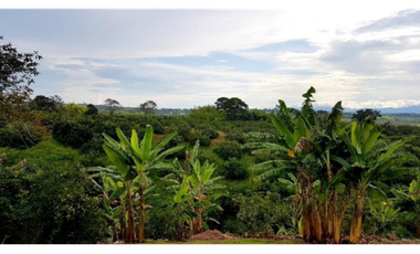 Finca independiente para la venta en Combia, Pereira!!