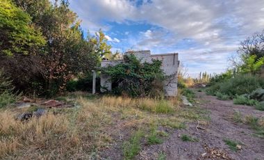 Alquier hectareas, Cipolletti