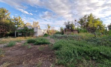 Alquier hectareas, Cipolletti