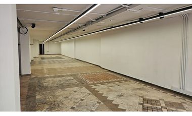 ARRIENDO LOCAL COMERCIAL EN CHICO 95 CON 13 149M2 $10.5MILL + ADM