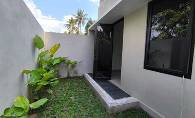 Rumah Baru Siap Huni 2 Lantai Jogja view hamparan sawah