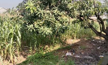 Tanah dijual di Roomo, Gresik, Jawa Timur