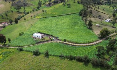 Finca En San Luis - Sibaté: 13.000 M² De Tranquilidad Y Potencial