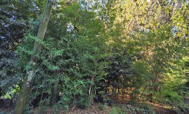 VENTA DE TERRENO EN PILAR