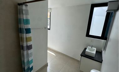 Casa en Condominio Parque San Andrés, America, Coyoacan