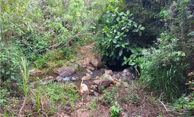 VENDO 01 HECTAREA TITULADA Y CON AGUA VIVA ALTO  BOQUETE