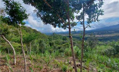VENDO 01 HECTAREA TITULADA Y CON AGUA VIVA ALTO  BOQUETE