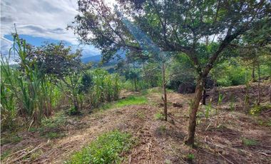 VENDO 01 HECTAREA TITULADA Y CON AGUA VIVA ALTO  BOQUETE