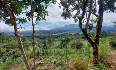 VENDO 01 HECTAREA TITULADA Y CON AGUA VIVA ALTO  BOQUETE
