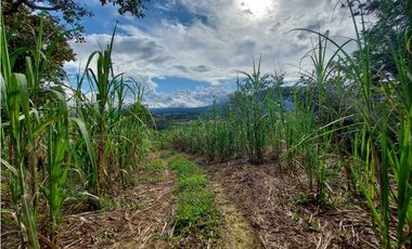 VENDO 01 HECTAREA TITULADA Y CON AGUA VIVA ALTO  BOQUETE