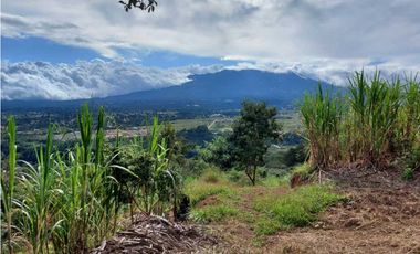 VENDO 01 HECTAREA TITULADA Y CON AGUA VIVA ALTO  BOQUETE