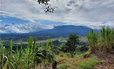 VENDO 01 HECTAREA TITULADA Y CON AGUA VIVA ALTO  BOQUETE