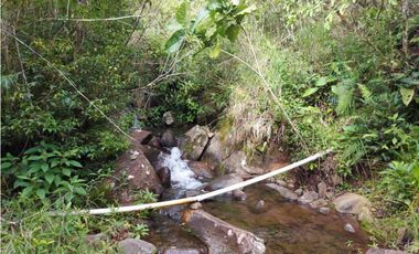 VENDO 01 HECTAREA TITULADA Y CON AGUA VIVA ALTO  BOQUETE