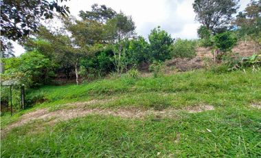 VENDO 01 HECTAREA TITULADA Y CON AGUA VIVA ALTO  BOQUETE